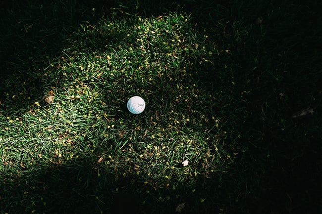 Golfball im Tau auf dem Grün